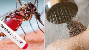 Khỏi sốt xuất huyết bao lâu thì được tắm? Cần lưu ý điều gì?
